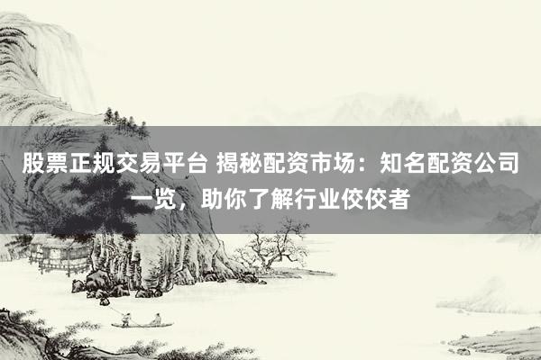 股票正规交易平台 揭秘配资市场：知名配资公司一览，助你了解行业佼佼者