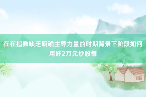 在在指数缺乏明确主导力量的时期背景下阶段如何用好2万元炒股每